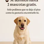 Apartamento Casa Fidalgo Ribadavia